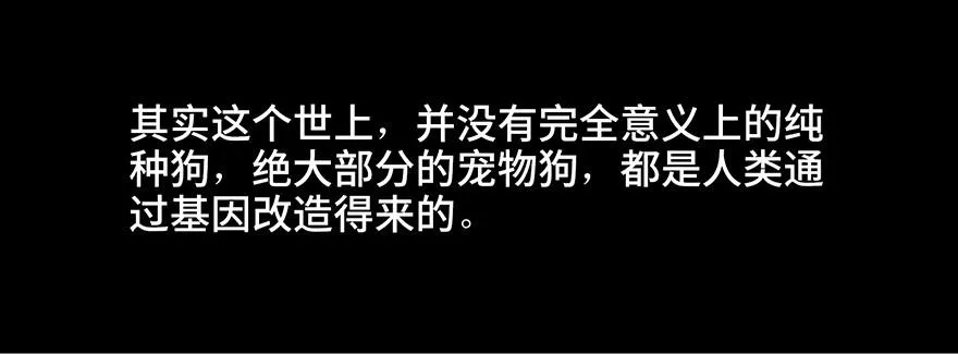 第三十话·宠物商 第47页