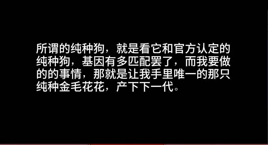 第三十话·宠物商 第49页