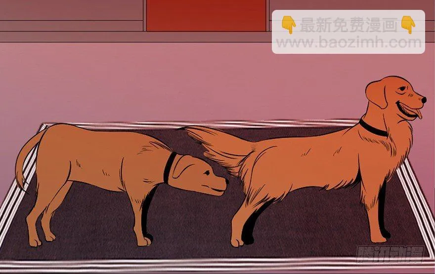 第三十话·宠物商 第50页