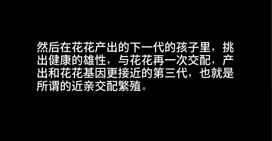 第三十话·宠物商 第51页