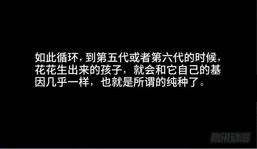 第三十话·宠物商 第53页