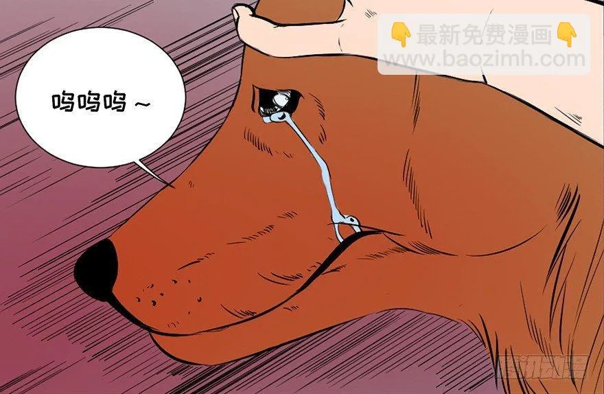 第三十话·宠物商 第60页