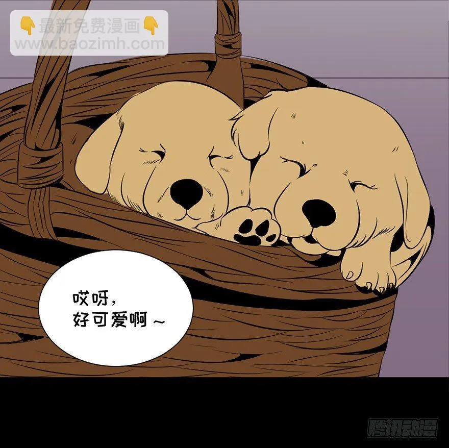 第三十话·宠物商 第62页