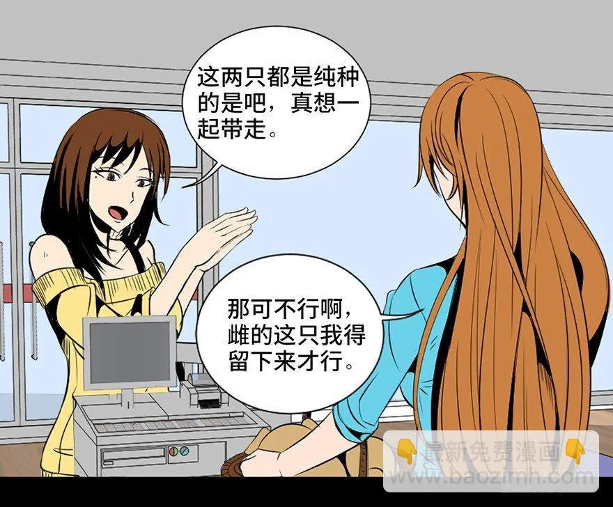 第三十话·宠物商 第63页