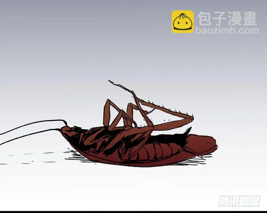 第三十四话·动物保护 第3页