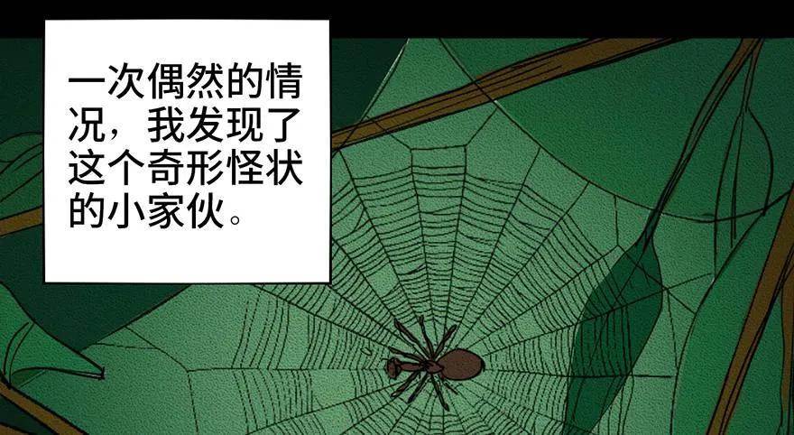 第三十四话·动物保护 第13页
