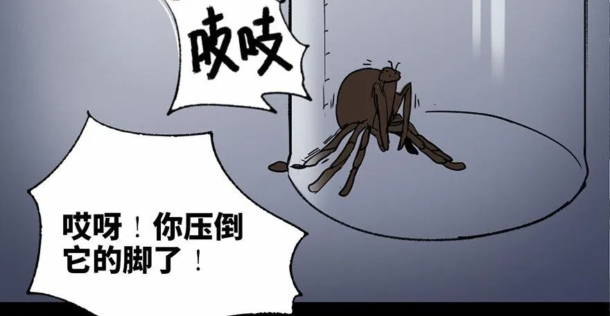 第三十四话·动物保护 第28页