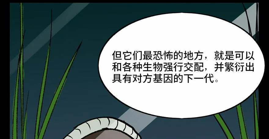 第三十四话·动物保护 第78页