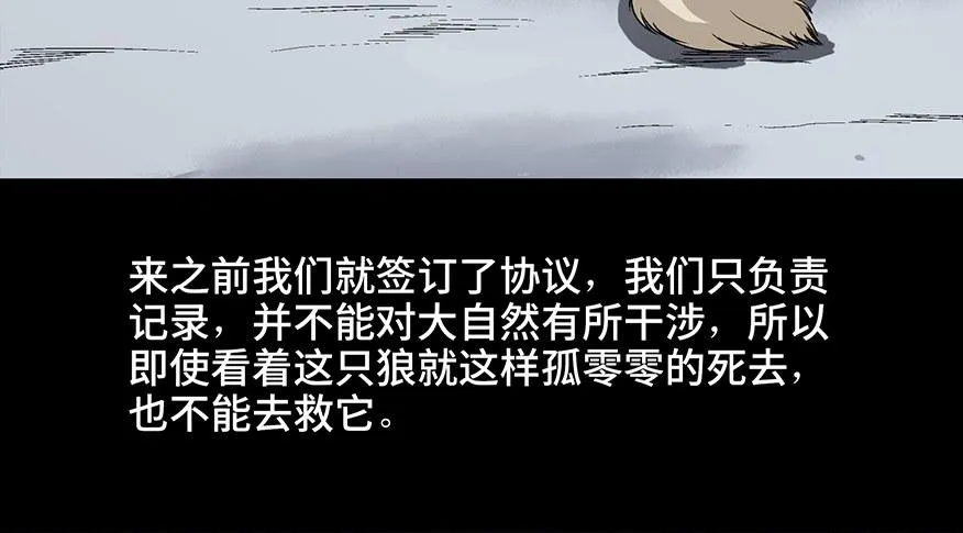 第九十七话·孤 狼 第38页