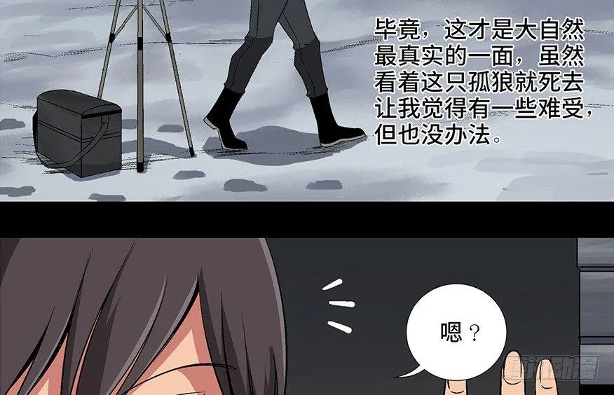 第九十七话·孤 狼 第40页