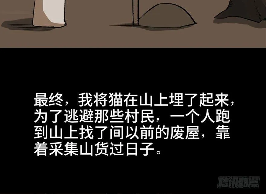 第一零五话·僵尸猫 第65页