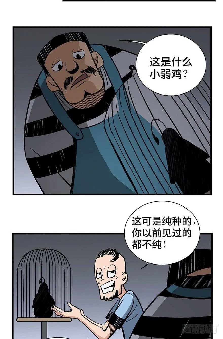 第一三八话·鸡王之王 第18页