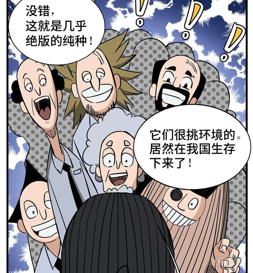 第一三八话·鸡王之王 第44页
