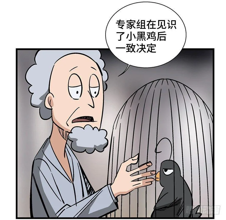 第一三八话·鸡王之王 第46页