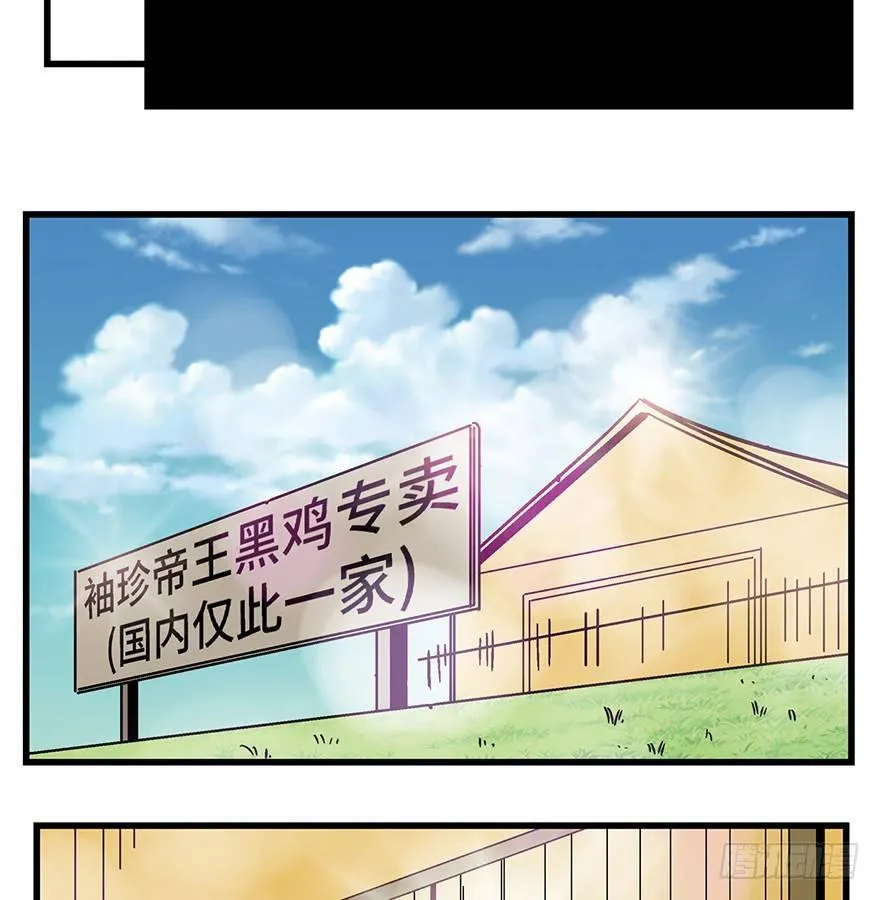 第一三八话·鸡王之王 第51页