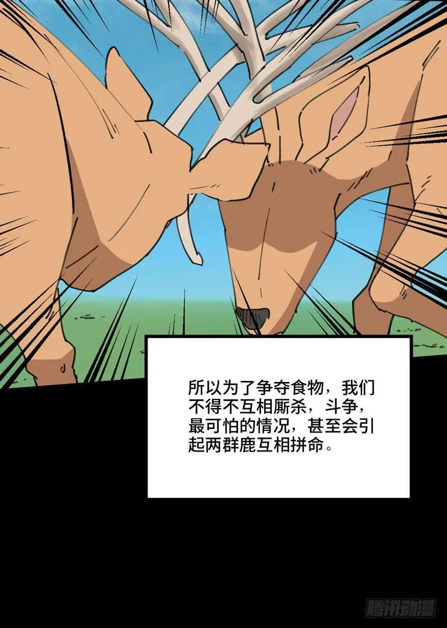 第一三九话·进 化 第29页