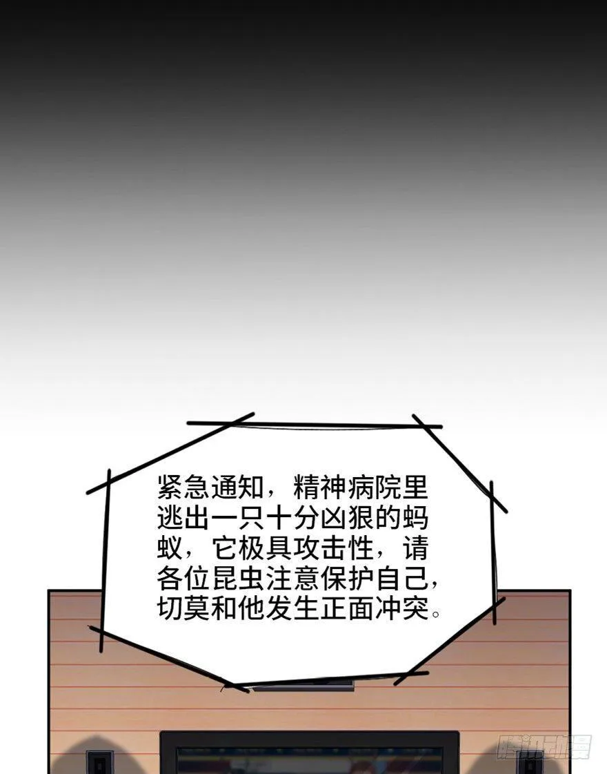 第一七二话·叛逆屎壳郎 第11页
