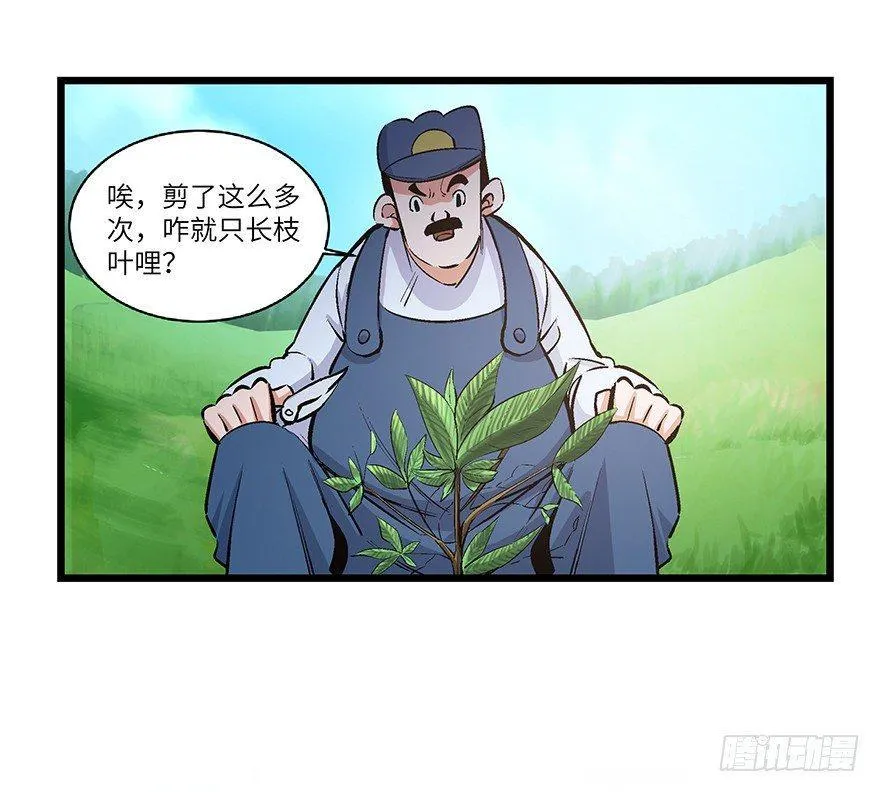 第一七零话·花开之时 第3页