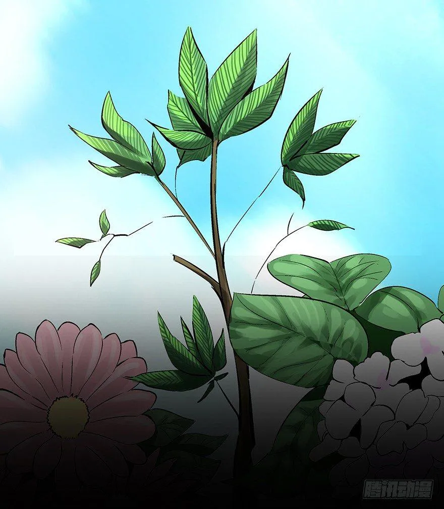 第一七零话·花开之时 第5页