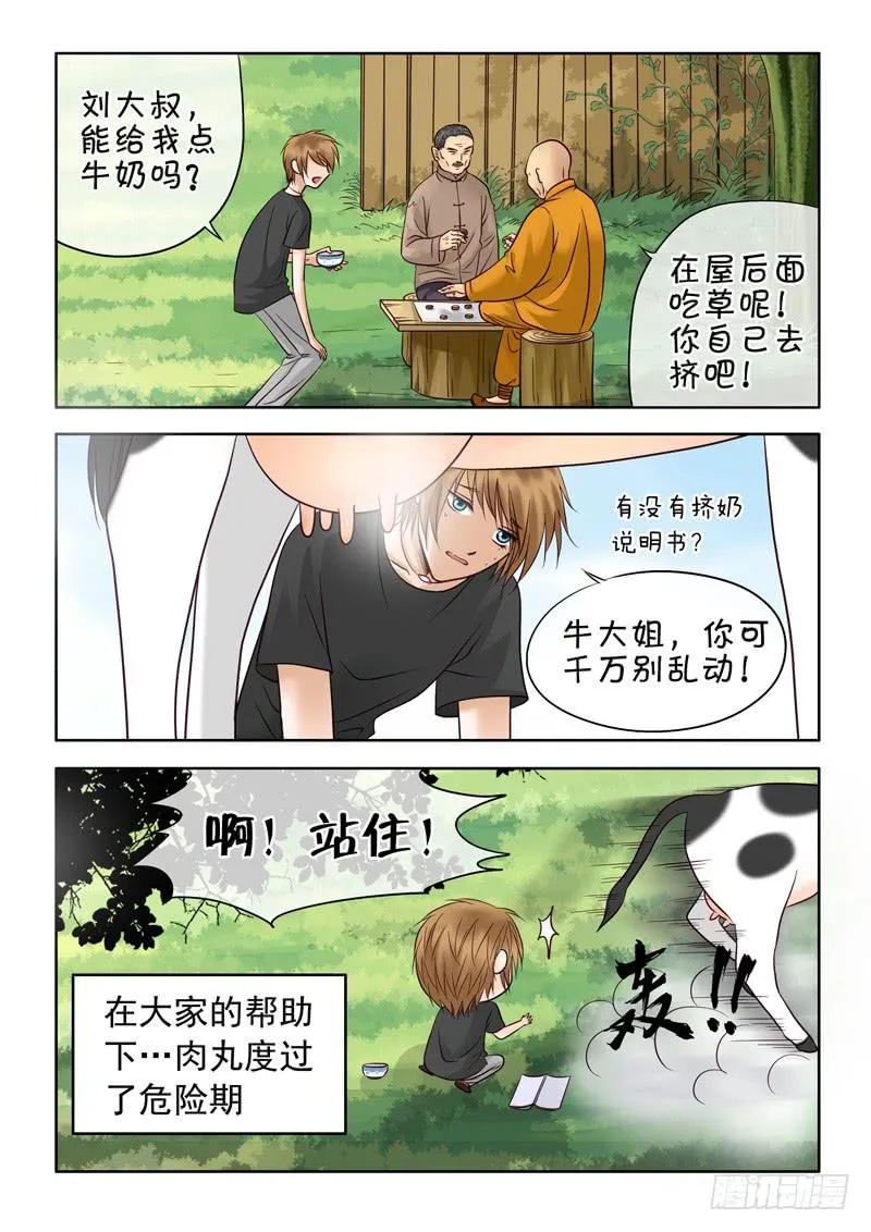 42 肉丸2 第2页