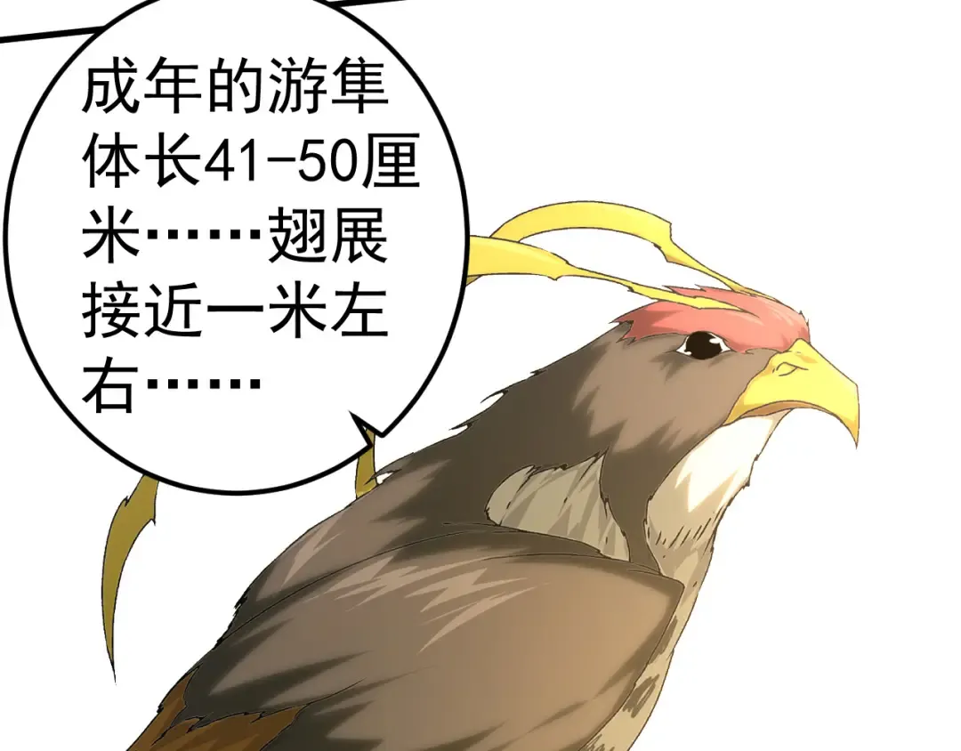 第2话 危机四伏的异世界 第17页