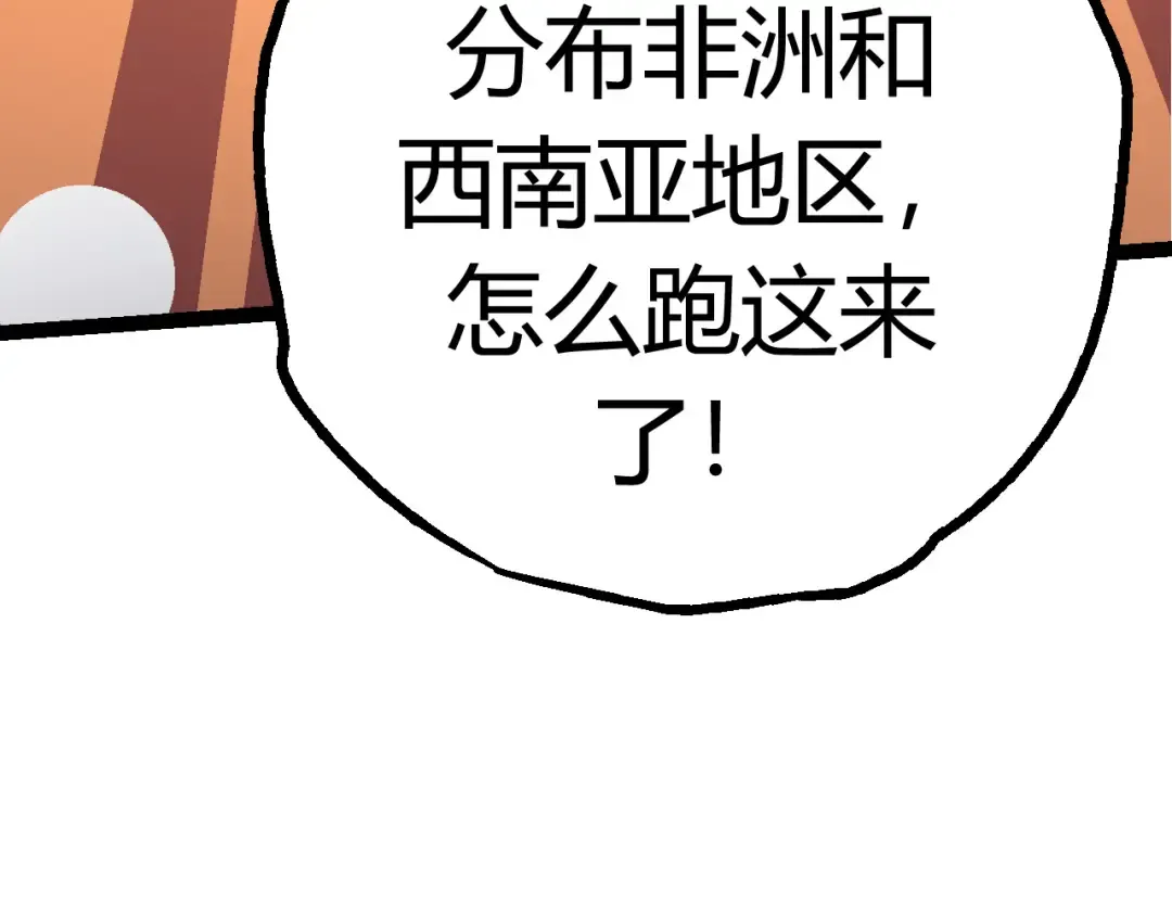 第7话 被人类发现？！ 第210页