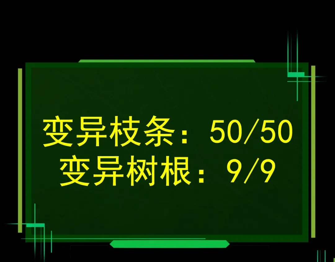 第8话 新一轮强化 第75页
