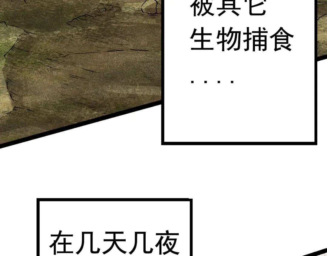 第12话 杀大蛇！！ 第44页