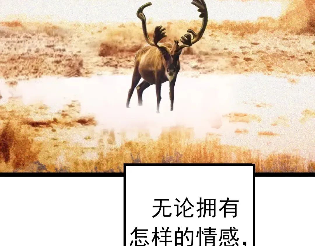 第13话 大蛇之死 第245页