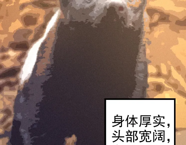 第26话 大树出现 第2页