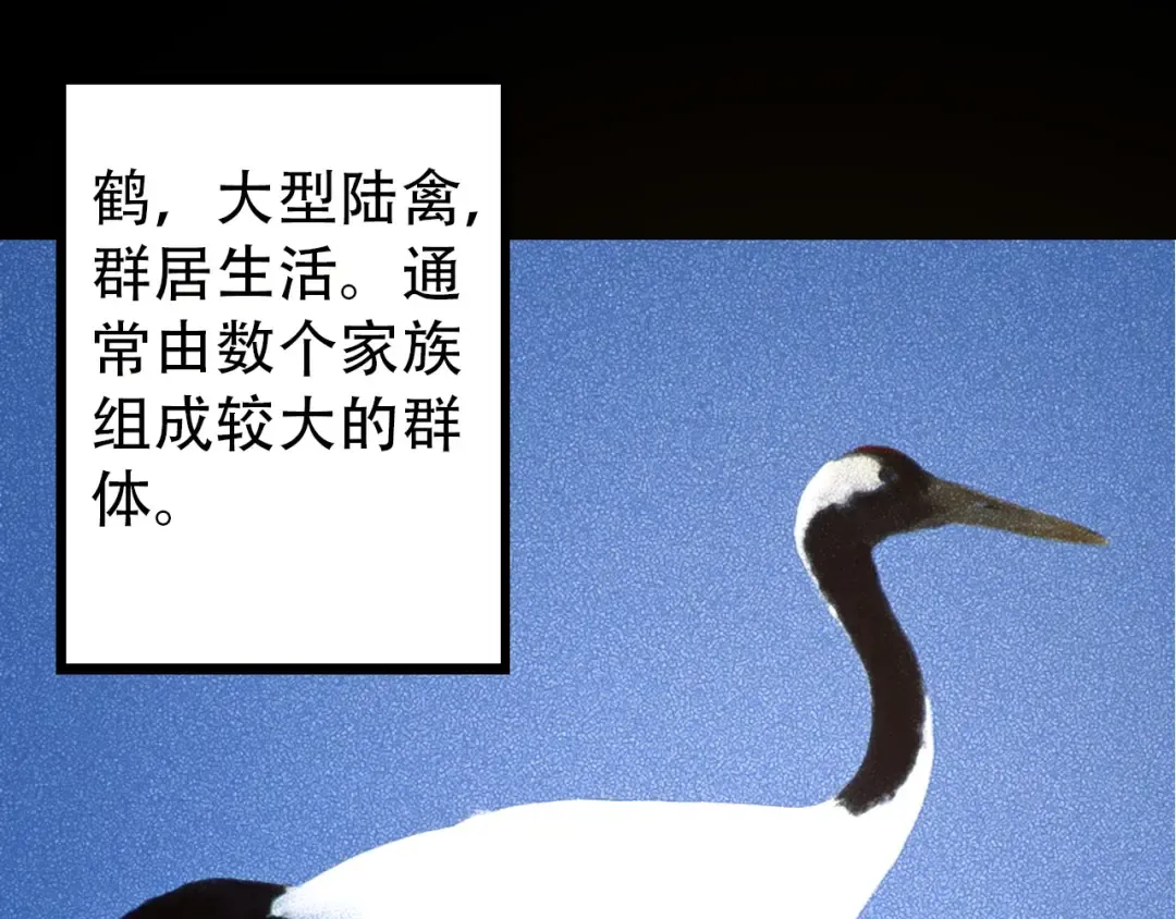 第54话 百兽之王的威严 第105页