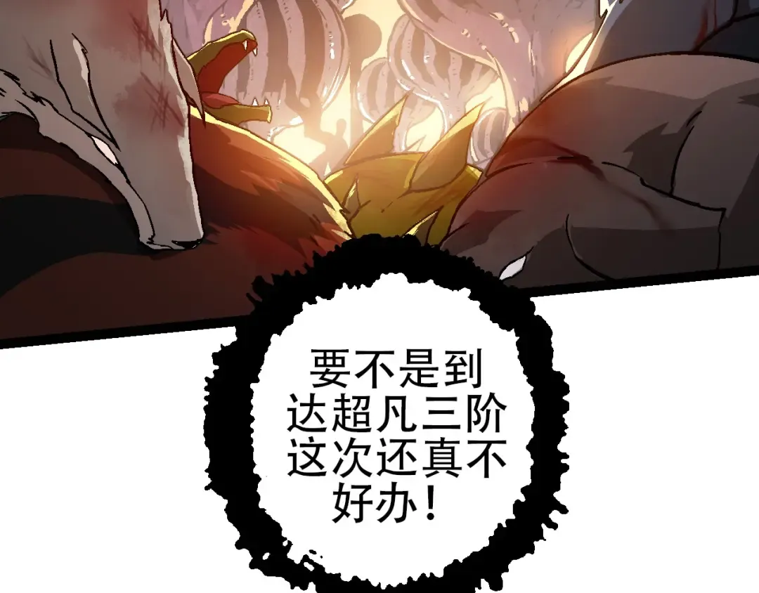 第74话 峡谷中的巨大树影 第29页