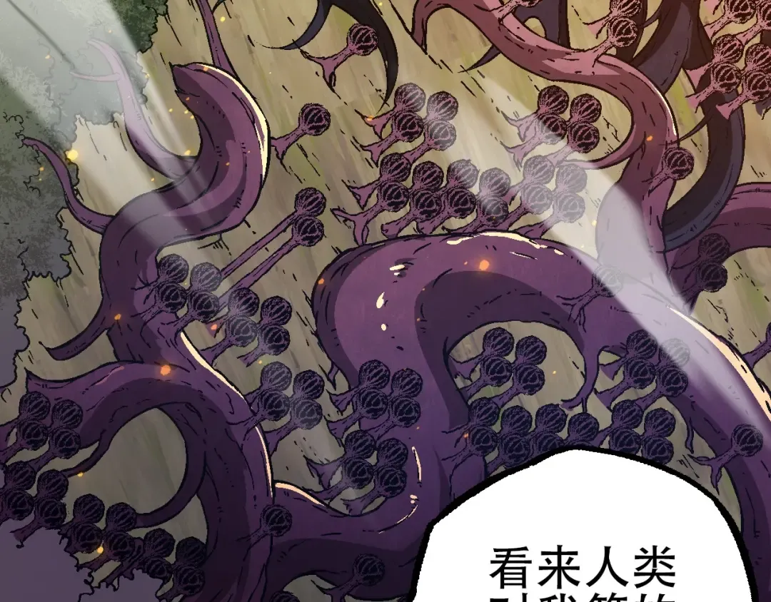 第74话 峡谷中的巨大树影 第70页