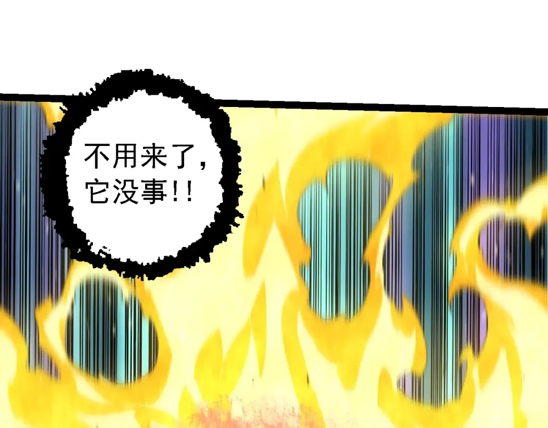 第149话 闪光战虎 第15页