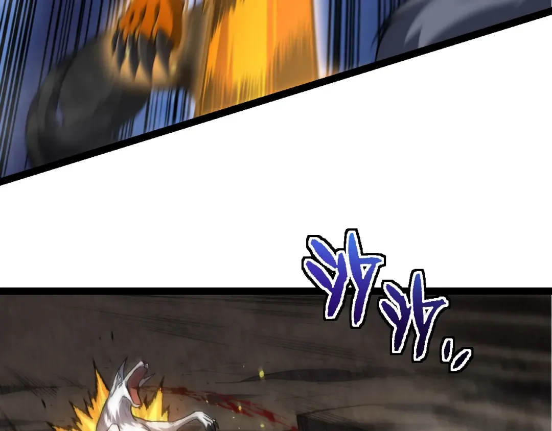 第149话 闪光战虎 第53页