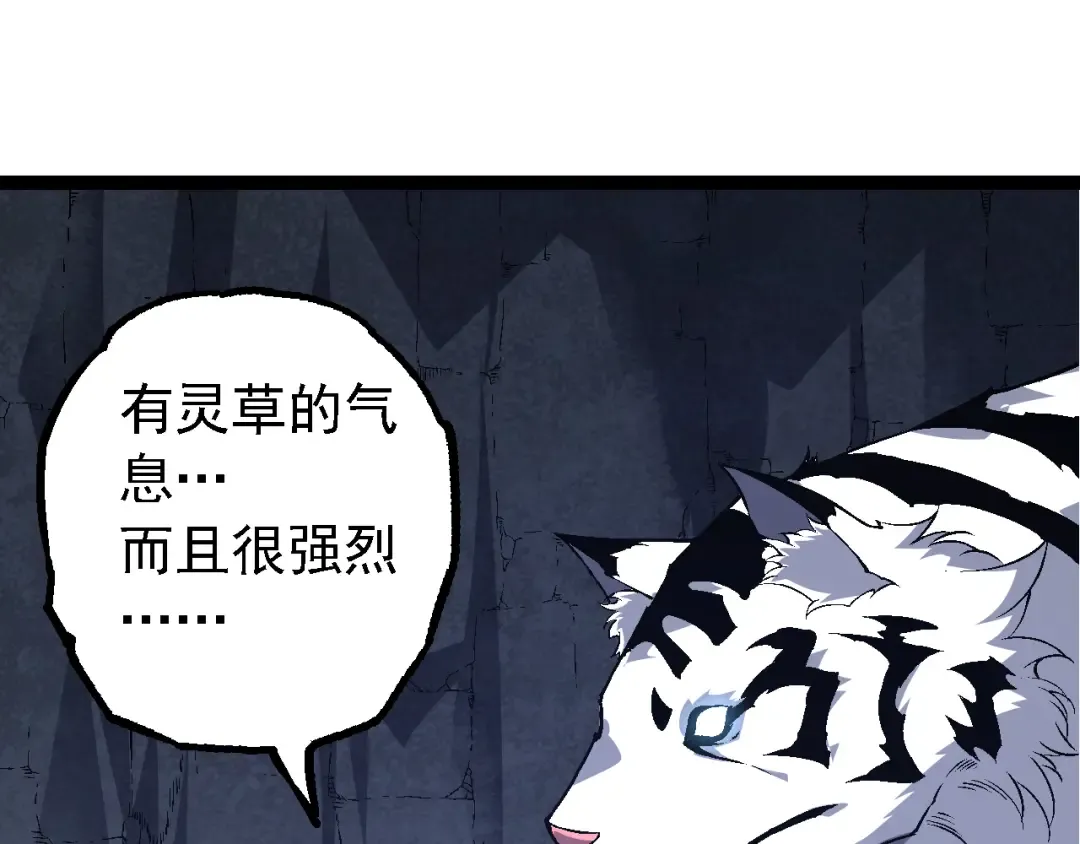 第170话 小白与小蓝的冒险 第5页