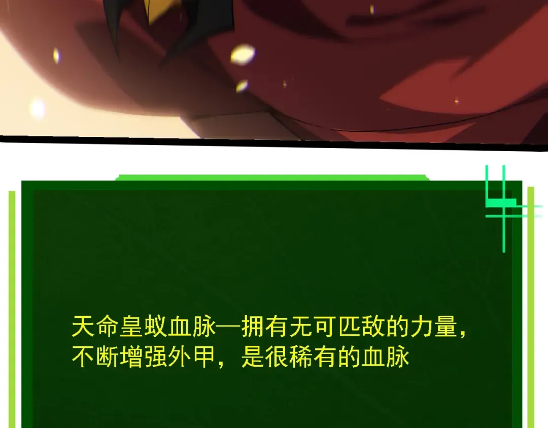 第210话 澳创灾难 第12页