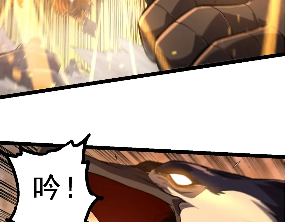 第214话 共同讨伐 第71页