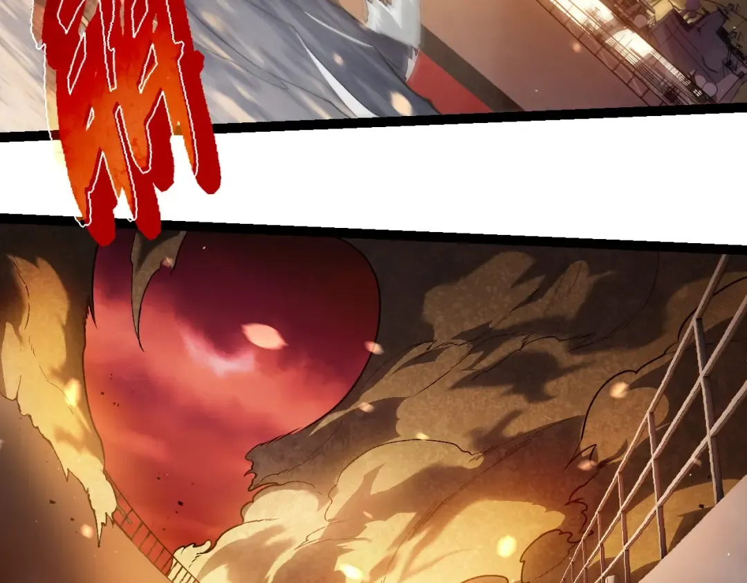 第228话 新的帮手？ 第12页