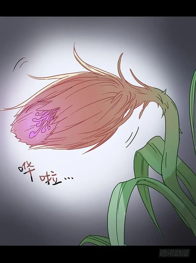 美人花 第23页