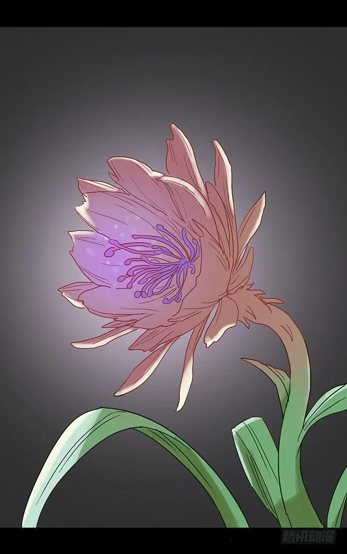美人花 第29页
