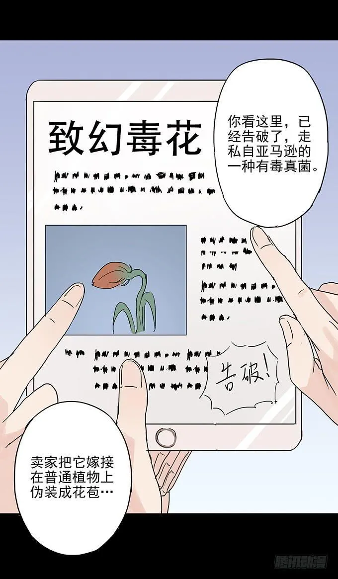 美人花 第42页