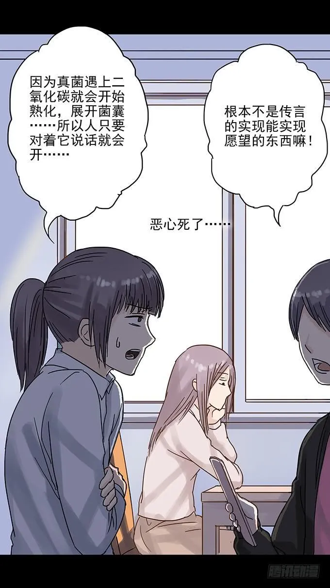 美人花 第43页