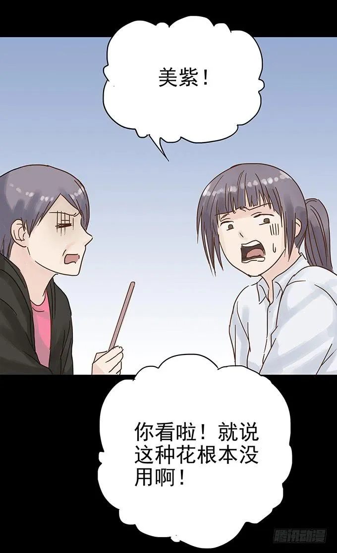美人花 第45页