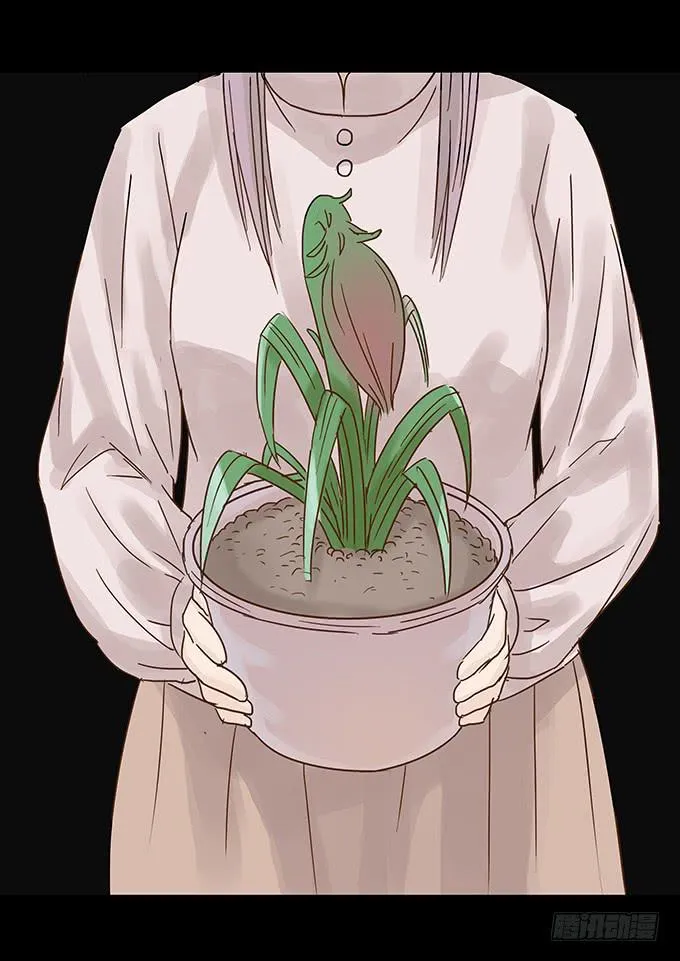 美人花 第48页