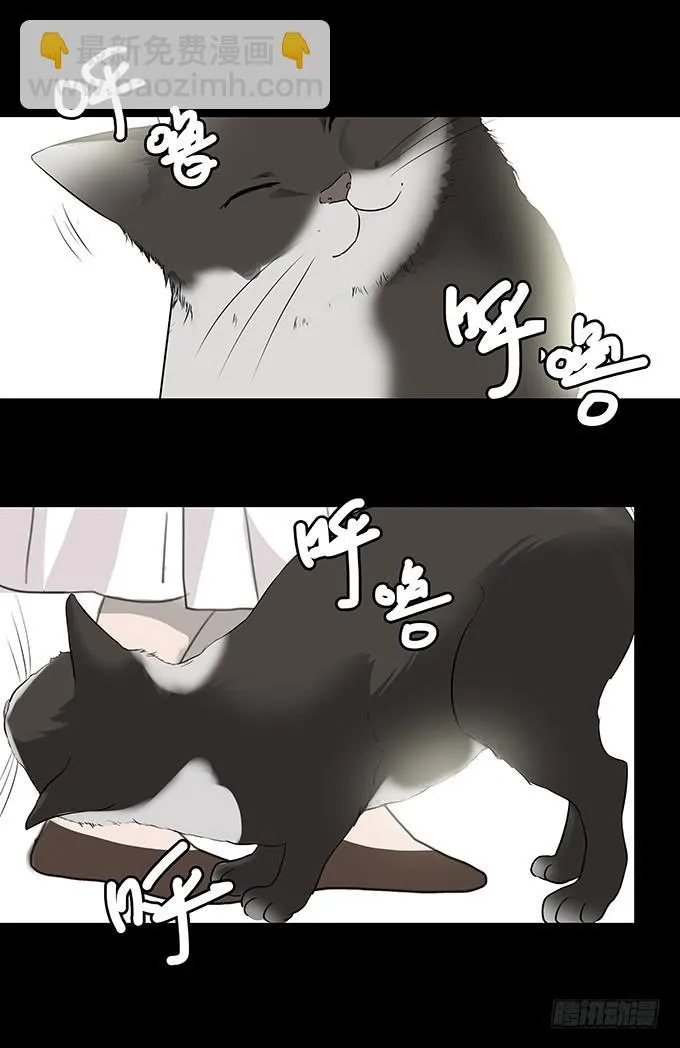 夏日聚会 第37页
