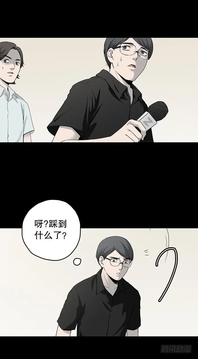 污染报导 第13页