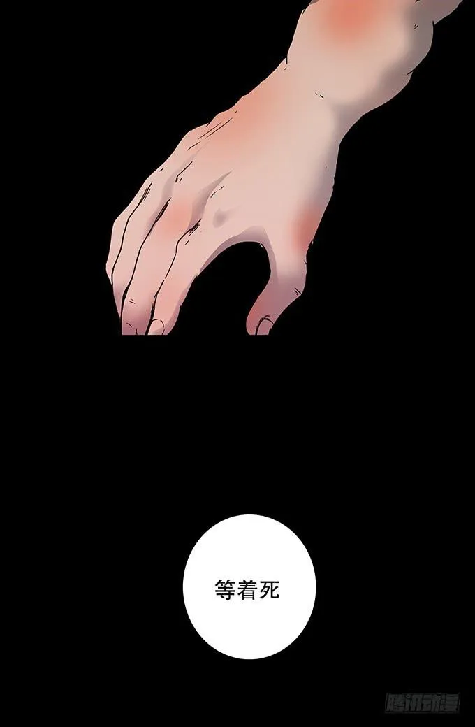 污染报导 第31页