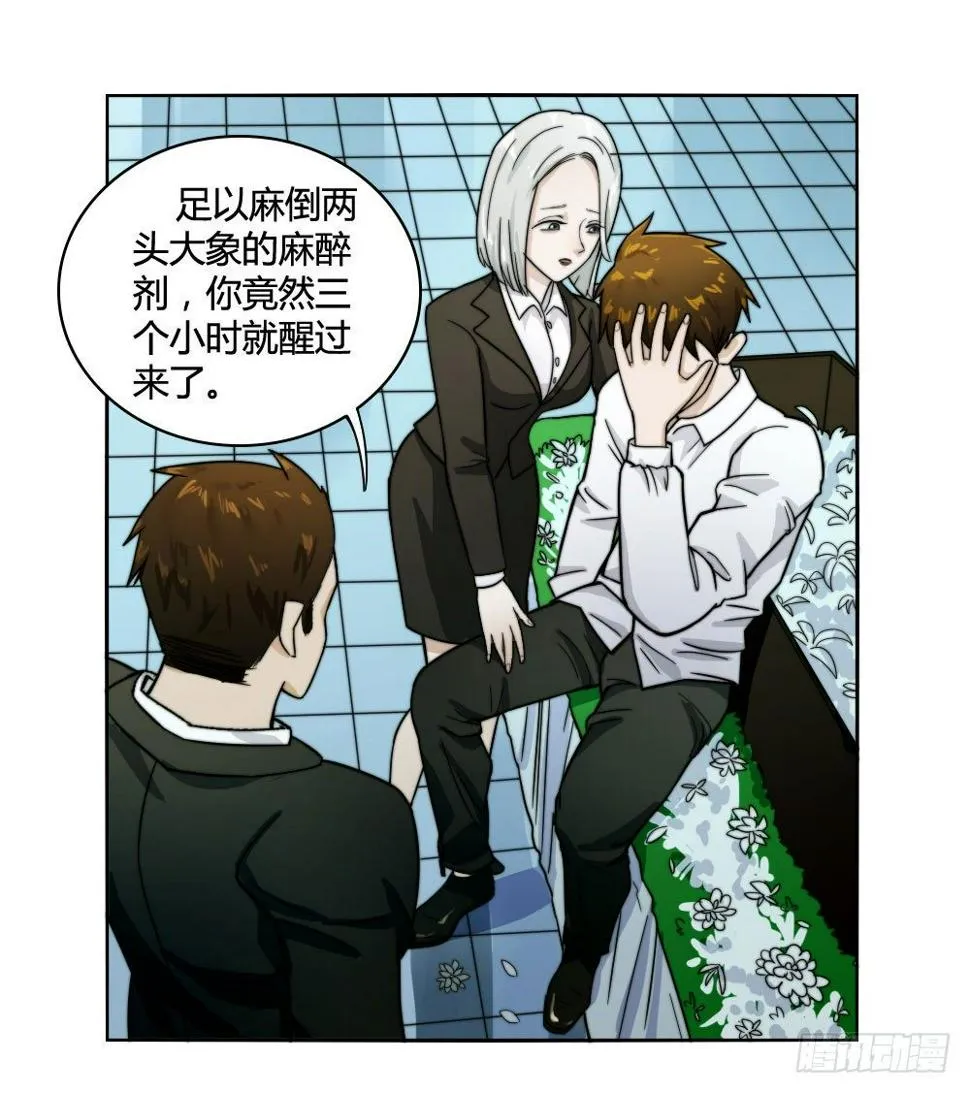 白鹤组织 第3页
