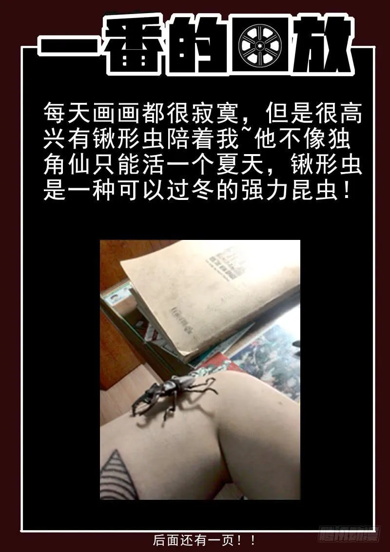 39死 新工作 第13页